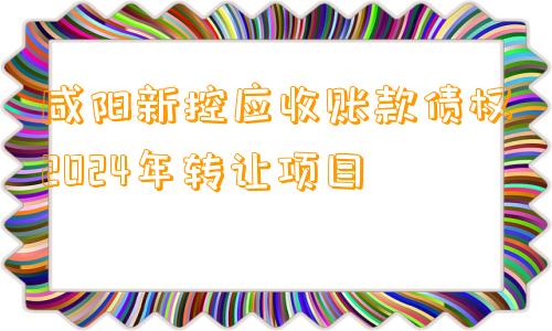 咸阳新控应收账款债权2024年转让项目