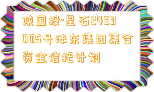 陕国投·星石2453005号沣东集团集合资金信托计划