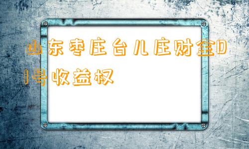 山东枣庄台儿庄财金D1号收益权