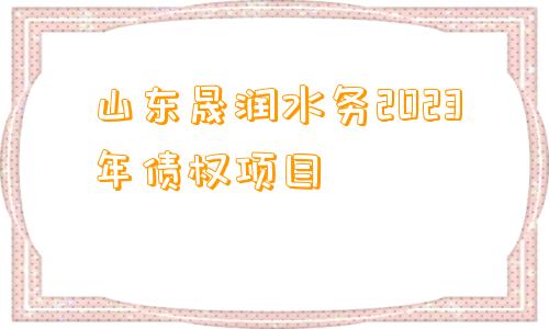 山东晟润水务2023年债权项目