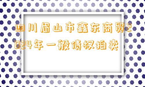 四川眉山市鑫东商贸2024年一般债权拍卖