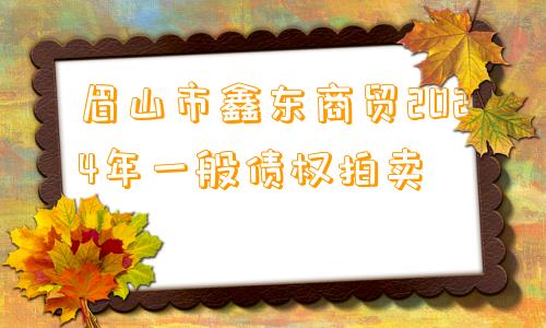 眉山市鑫东商贸2024年一般债权拍卖