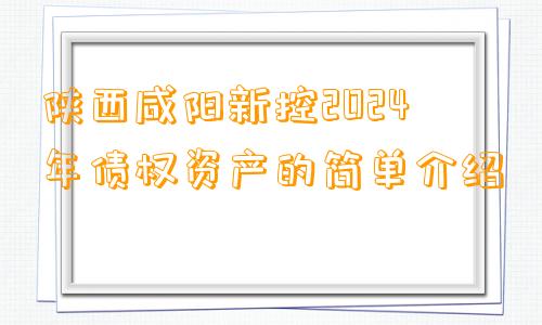 陕西咸阳新控2024年债权资产的简单介绍