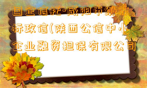 国企信托-咸阳市级非标政信(陕西公信中小企业融资担保有限公司)