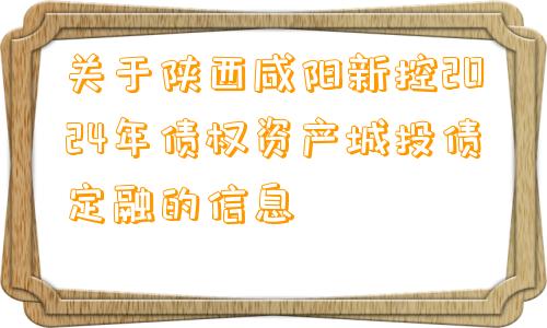 关于陕西咸阳新控2024年债权资产城投债定融的信息