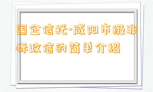 国企信托-咸阳市级非标政信的简单介绍