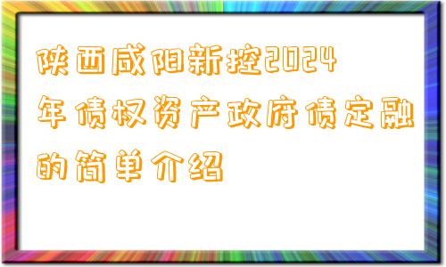 陕西咸阳新控2024年债权资产政府债定融的简单介绍