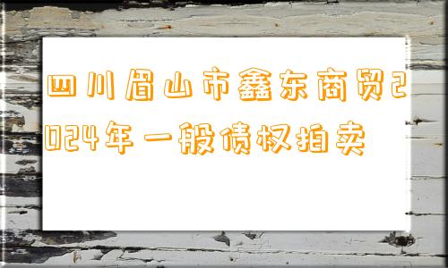 四川眉山市鑫东商贸2024年一般债权拍卖