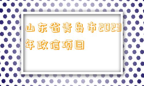 山东省青岛市2023年政信项目