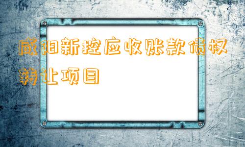 咸阳新控应收账款债权转让项目