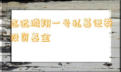 志远腾翔一号私募证券投资基金