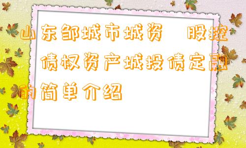 山东邹城市城资‮股控‬债权资产城投债定融的简单介绍