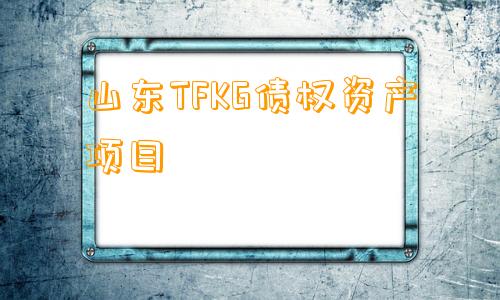 山东TFKG债权资产项目