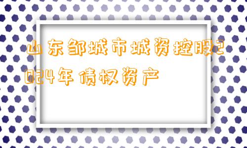 山东邹城市城资控股2024年债权资产