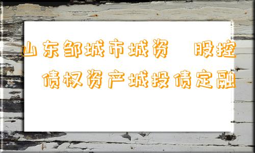 山东邹城市城资‮股控‬债权资产城投债定融