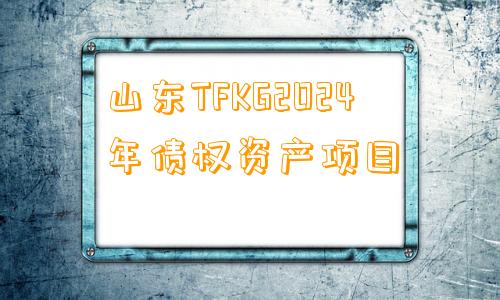 山东TFKG2024年债权资产项目