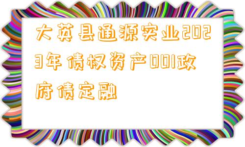 大英县通源实业2023年债权资产001政府债定融