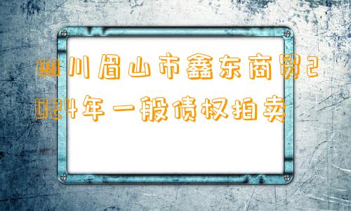 四川眉山市鑫东商贸2024年一般债权拍卖