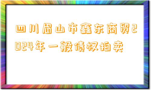 四川眉山市鑫东商贸2024年一般债权拍卖