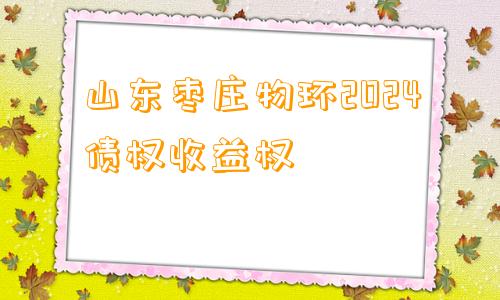 山东枣庄物环2024债权收益权