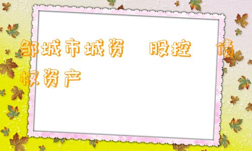 邹城市城资‮股控‬债权资产