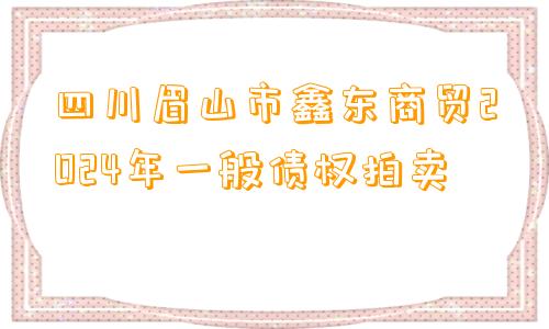 四川眉山市鑫东商贸2024年一般债权拍卖