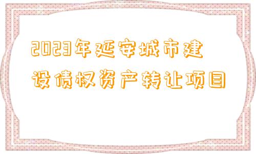 2023年延安城市建设债权资产转让项目