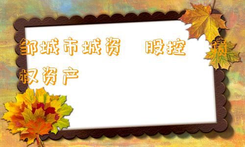 邹城市城资‮股控‬债权资产