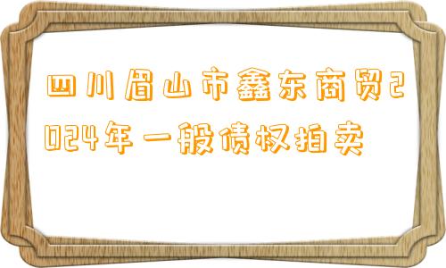 四川眉山市鑫东商贸2024年一般债权拍卖