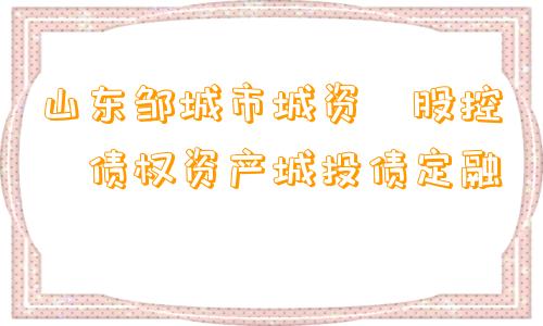 山东邹城市城资‮股控‬债权资产城投债定融