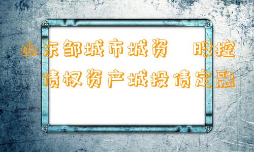 山东邹城市城资‮股控‬债权资产城投债定融