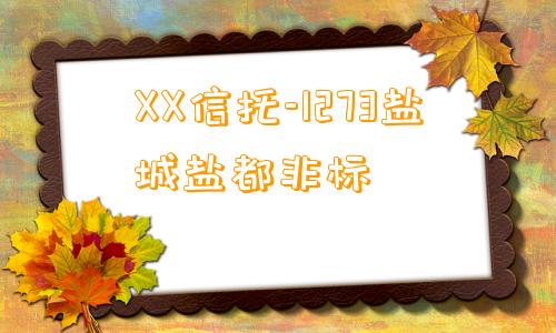 XX信托-1273盐城盐都非标