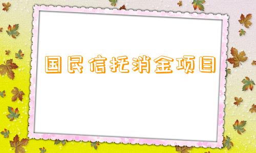 国民信托消金项目