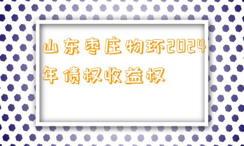 山东枣庄物环2024年债权收益权