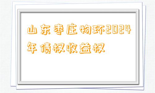 山东枣庄物环2024年债权收益权