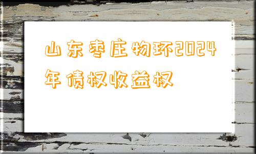 山东枣庄物环2024年债权收益权