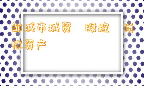 邹城市城资‮股控‬债权资产