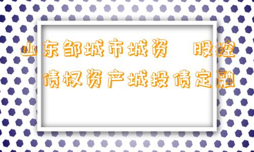 山东邹城市城资‮股控‬债权资产城投债定融