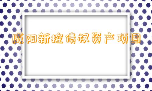 咸阳新控债权资产项目