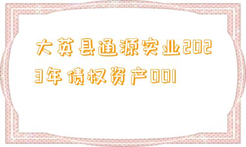 大英县通源实业2023年债权资产001