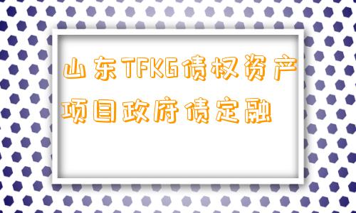 山东TFKG债权资产项目政府债定融