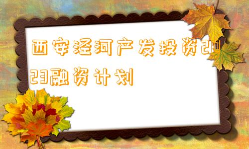 西安泾河产发投资2023融资计划