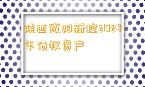 陕西咸阳新控2024年债权资产