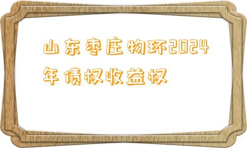 山东枣庄物环2024年债权收益权