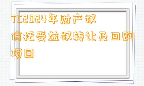 TC2024年财产权信托受益权转让及回购项目