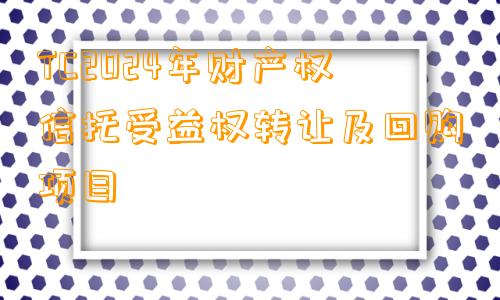 TC2024年财产权信托受益权转让及回购项目