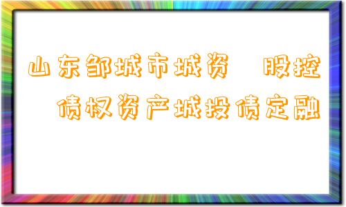 山东邹城市城资‮股控‬债权资产城投债定融