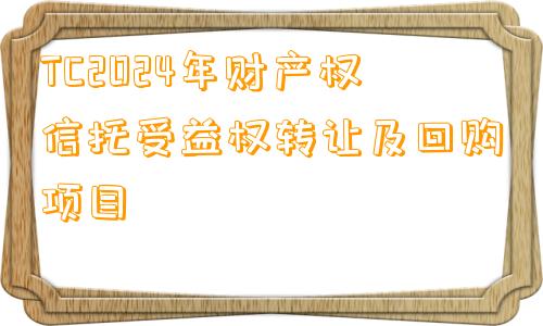 TC2024年财产权信托受益权转让及回购项目
