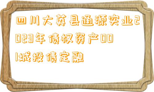 四川大英县通源实业2023年债权资产001城投债定融