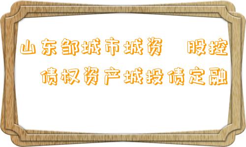 山东邹城市城资‮股控‬债权资产城投债定融